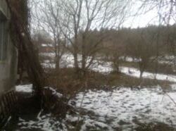 ������ ���� ���� 2