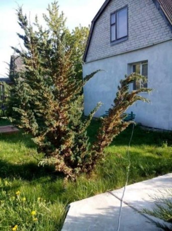 ��������� ������� � �������, 29 000 $ ���� 1