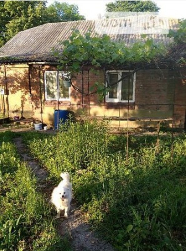 ������ ������� ���� 1