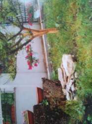 Продается дом Пілотська, Хмельницкий, Хмельницкая, Раково фото 5 Продается дом Пілотська, Хмельницкий, Хмельницкая, Раково фото 5