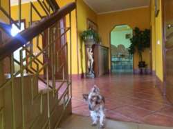 ��������� ��� ����, ���������, �����������, ����������� ���� 12