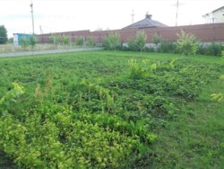 ������ ������� ���� 6