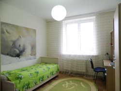 ��������� ��� �������, �����������, �����������, ������ ���� 28