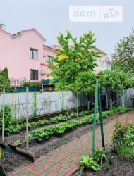 ��������� ��� �����������, �����������, �����������, ������, �������� ���� 3