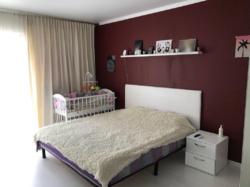 ������ ������� ���� 13