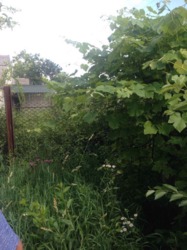 Продается дом Заярна, Книжківці, Хмельницкий, Хмельницкая фото 13 Продается дом Заярна, Книжківці, Хмельницкий, Хмельницкая фото 13