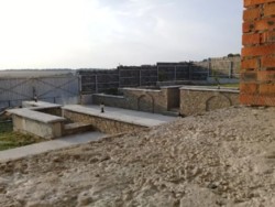 ������ ������� ���� 11