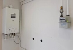 ������ �������� ���� 19