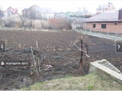 ������� ������� ���� 4