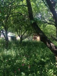 Продается дом Заярна, Книжківці, Хмельницкий, Хмельницкая фото 5 Продается дом Заярна, Книжківці, Хмельницкий, Хмельницкая фото 5