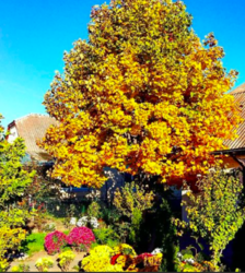 Продаж будинку фото 2 Продаж будинку фото 2