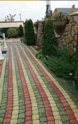 ��������� ��� �������� ����, �����������, �����������, ���-�������� ���� 3