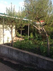 ��������� ��� �����������, ����������� ���� 1