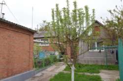 ��������� ��� ϳ������, �����������, �����������, ������ ���� 2