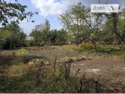 ������ ���� 6