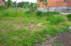 Продаж дачі фото 4 Продаж дачі фото 4