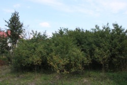 Продается дом Хмельницкая, Хмельницкий, Дубово, пер. Авіаційний, 14 фото 6 Продается дом Хмельницкая, Хмельницкий, Дубово, пер. Авіаційний, 14 фото 6