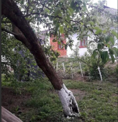 Продаж будинку фото 10 Продаж будинку фото 10