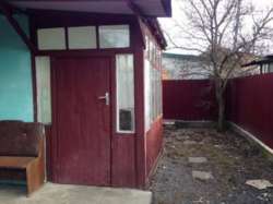 ��������� ��� �������������, �����������, �����������, ���-�������� ���� 7