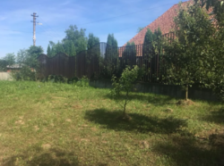 ������ ���� ���� 2