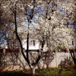 ��������� ��� �����������, �����������, ������ ���� 1