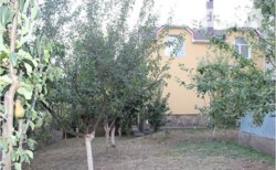 ������ ������� ���� 19