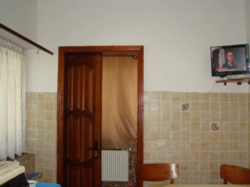 ��������� ��� ϳ�������, �����������, �����������, ������ ���� 19