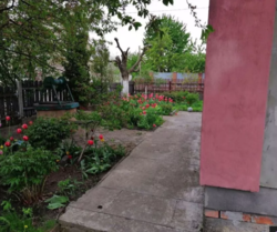 ������ ������� ���� 2