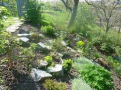 Продам дачу 30 000 $ фото 5 Продам дачу 30 000 $ фото 5