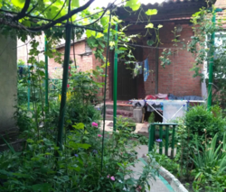 ��������� ��� �����������, �����������, ����� ����� ���� 1