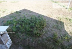 ������ ������� ���� 20