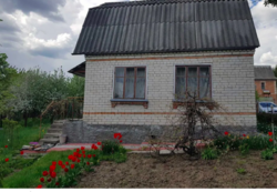 ��������� ��� �����������, �����������, ������� ���� 4