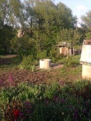 ��������� ��� �����������, ����������� ���� 3