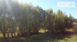 ��������� ��� ����������, ������� ��������, �����������, ����������� ���� 12