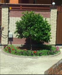 Продаж будинку фото 13 Продаж будинку фото 13