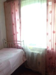 ��������� ��� �����������, ����������� ���� 19