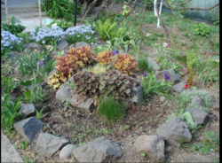 ��������� ��� ϳ�������, �����������, �����������, ������ ���� 3