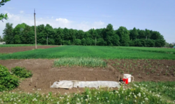 ��������� ��� �����������, �����������, ��������� ���� 4