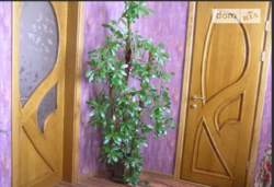 ������ ������� ���� 11