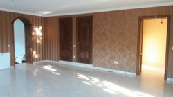 ��������� ��� ������ ������� �����, �����������, �����������, ���-�������� ���� 16