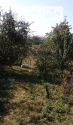 ������ ������� ���� 2