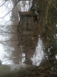 ������ ���� ���� 4