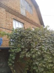 ��������� ��� �������� ��������, �����������, �����������, ���-�������� ���� 6