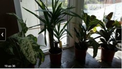 Продается дом Хмельницкая, Хмельницкий, Гречаны ближние, Вокзальна фото 18 Продается дом Хмельницкая, Хмельницкий, Гречаны ближние, Вокзальна фото 18