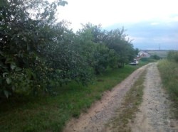 ������ �������������� ������� ���� 4