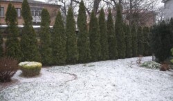 Продается дом Ломоносова, Хмельницкий, Хмельницкая, Юго-Западный фото 6 Продается дом Ломоносова, Хмельницкий, Хмельницкая, Юго-Западный фото 6