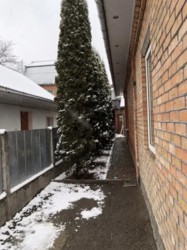 ��������� ��� �����������, �����������, ������ ���� 4