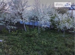 ��������� ��� �����������, �����������, �������� ���� 1