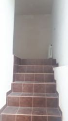 ������ ������� ���� 7