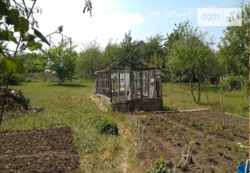 ��������� ��� �������� ����������, �����������, �����������, ������ ���� 7